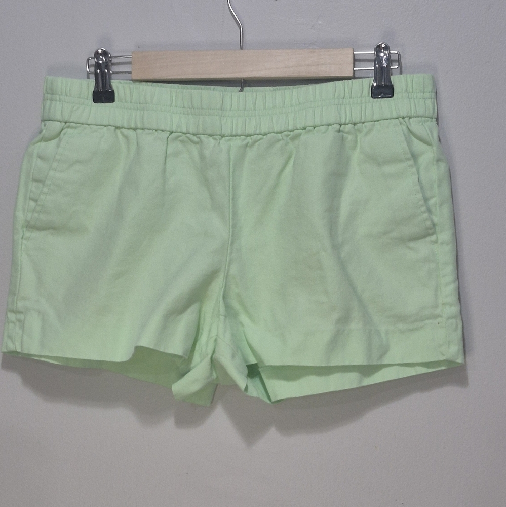 J.Crew Mint Green Women's Shorts Size 10